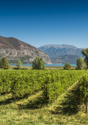 Il paesaggio nel futuro della Franciacorta, territorio d&rsquo;avanguardia tra tutela ed evoluzione
