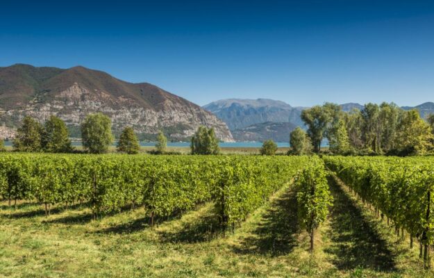 Landscape in the future of Franciacorta, a pioneering territory among protection and evolution