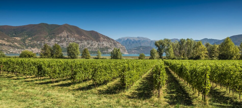 Il paesaggio nel futuro della Franciacorta, territorio d&rsquo;avanguardia tra tutela ed evoluzione
