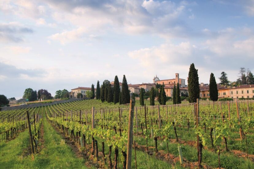 Italy, Brescia province, Franciacorta wine area, Erbusco