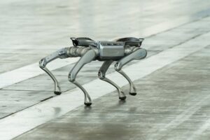 Ogni euro investito in tecnologie satellitari pu&ograve; generare 11 euro nella filiera agroalimentare
