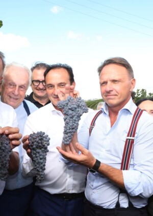 Anche a Barolo la raccolta &egrave; anticipata, e ieri sono partite le operazioni di vendemmia