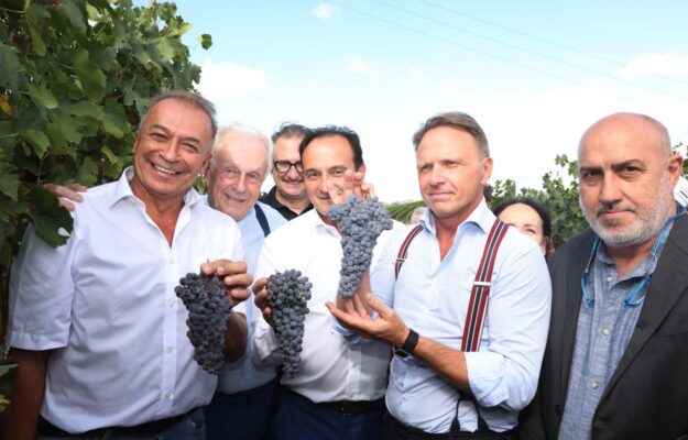 Also in Barolo harvest is anticipated, and yesterday all the operations began