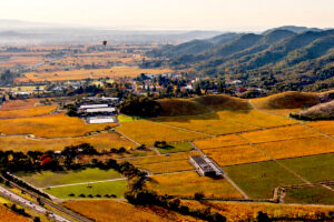 Napa Valley, l&rsquo;impatto dell&rsquo;enoturismo &egrave; stato di 2,8 miliardi di dollari nel 2025 (+2,9%)