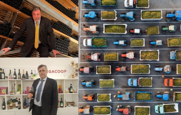 Gestione della produzione, calo dei consumi, export e valori: la visione delle cooperative del vino