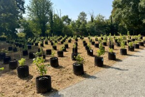 La vite come percorso di cura in Ospedale: ad Orbassano inaugurata la vigna terapeutica &ldquo;Riv&igrave;tere&rdquo;