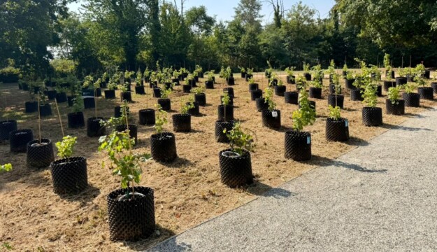 La vite come percorso di cura in Ospedale: ad Orbassano inaugurata la vigna terapeutica &ldquo;Riv&igrave;tere&rdquo;