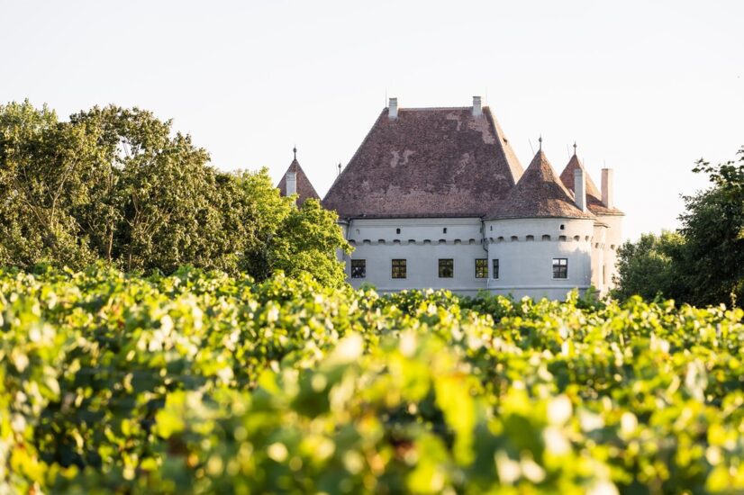 Castelli e vigneti in Romania