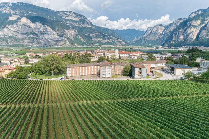 La Fondazione Edmund Mach ha realizzato il primo atlante metabolomico dell’uva al mondo (ph: Marco Parisi)