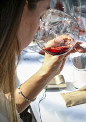 La vendemmia &egrave; iniziata, ma per il Barolo &egrave; tempo di presentare anche le nuove annate