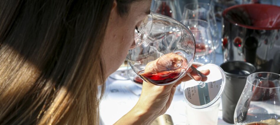 La vendemmia &egrave; iniziata, ma per il Barolo &egrave; tempo di presentare anche le nuove annate