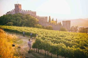 &ldquo;Soave, great now, great later&rdquo;: il &ldquo;Manifesto programmatico&rdquo; del vino bianco pi&ugrave; famoso del Veneto