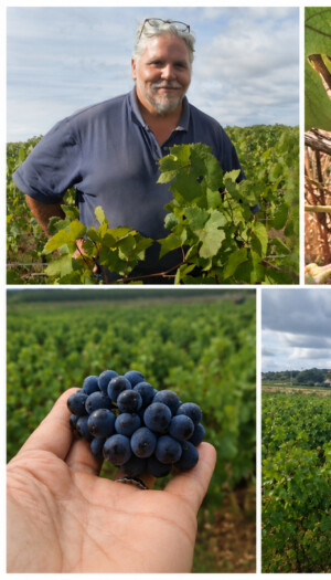 La Borgogna affronta il climate change per difendere il valore (anche patrimoniale) del terroir