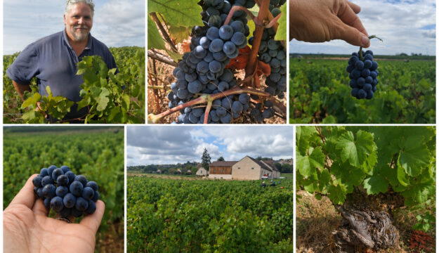 La Borgogna affronta il climate change per difendere il valore (anche patrimoniale) del terroir