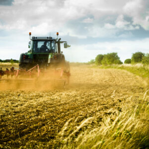 Agea, accelerazione &ldquo;record&rdquo; nelle erogazioni: oltre 2,5 miliardi di euro per l&rsquo;agricoltura