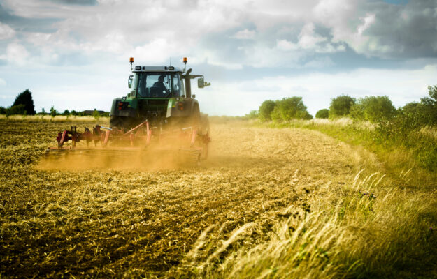 AGRICOLTURA, EROGAZIONI, FRANCESCO LOLLOBRIGIDA, MINISTRO DELL'AGRICOLTURA, PAC, Non Solo Vino