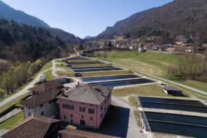 Acquacoltura in allarme: caldo e siccit&agrave; mettono a rischio le produzioni di trote (-15%) e storioni