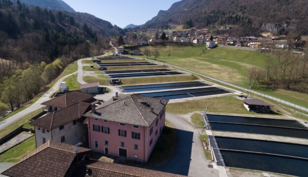 Acquacoltura in allarme: caldo e siccit&agrave; mettono a rischio le produzioni di trote (-15%) e storioni