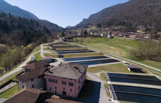 ACQUA, ACQUACOLTURA, ASSOCIAZIONE PISCICOLTORI ITALIANI, CAMBIAMENTO CLIMATICO, Confagricoltura, MADE IN ITALY, PESCI, SICCITA', STORIONI, TROTE, Non Solo Vino