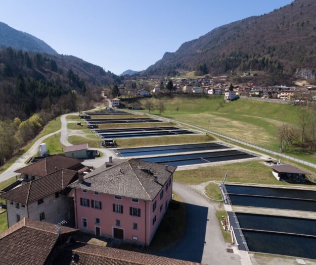 Acquacoltura in allarme: caldo e siccit&agrave; mettono a rischio le produzioni di trote (-15%) e storioni