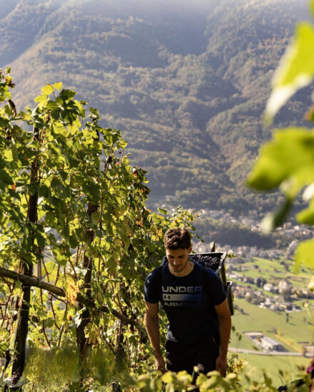 La Valtellina, dove si vendemmia il Nebbiolo delle Alpi, si racconta a “ViVa, Vini Valtellina” a Sondrio