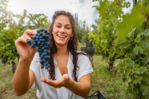 Scambio gratuito di manodopera per la vendemmia, il Veneto procede unito guardando al Trentino