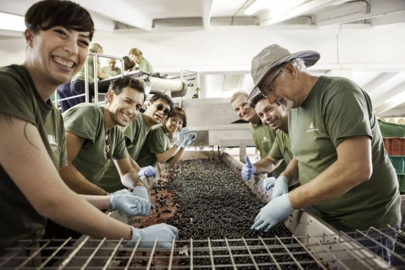 “Harvest Event” a Castiglion del Bosco, un’esperienza immersiva tra i vigneti di Brunello a Montalcino