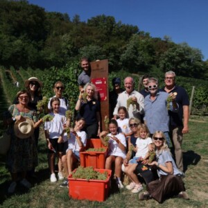 La &ldquo;Vendemmia Solidale&rdquo; a Le Manzane: quintali d&rsquo;uva per sostenere chi vive un disagio psicologico