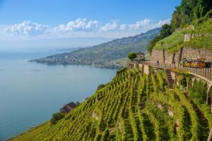 &ldquo;Mondial des Vins Extr&ecirc;mes&rdquo;, l&rsquo;Italia della viticoltura eroica conquista 20 Gran Medaglie d&rsquo;Oro
