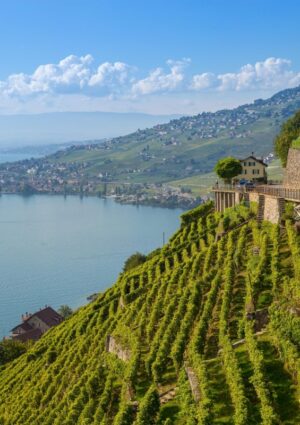&ldquo;Mondial des Vins Extr&ecirc;mes&rdquo;, l&rsquo;Italia della viticoltura eroica conquista 20 Gran Medaglie d&rsquo;Oro