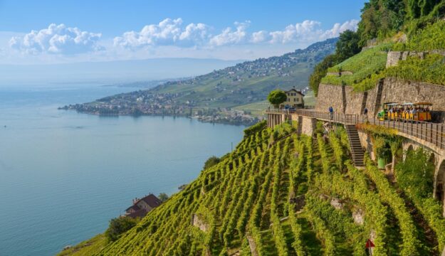 &ldquo;Mondial des Vins Extr&ecirc;mes&rdquo;, l&rsquo;Italia della viticoltura eroica conquista 20 Gran Medaglie d&rsquo;Oro