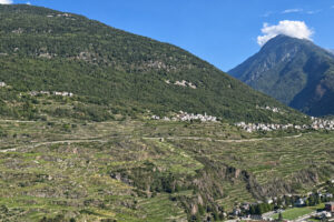 Valtellina del vino: maggior definizione territoriale, nuove sottozone e vigneti pi&ugrave; in alto