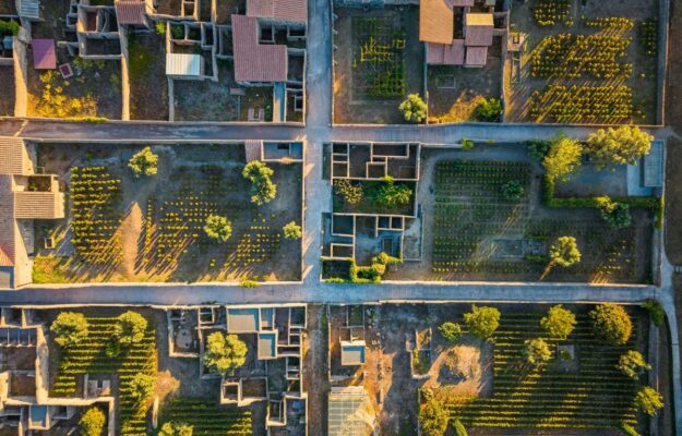 Pompei, la vendemmia tra gli scavi &egrave; realt&agrave;, grazie al progetto tra il Parco e Gruppo Capaldo