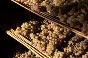 &ldquo;International Wine Challenge&rdquo; 2026, 2 &ldquo;Champion&rdquo; e 25 medaglie d&rsquo;oro per l&rsquo;Italia