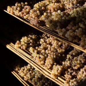 &ldquo;International Wine Challenge&rdquo; 2026, 2 &ldquo;Champion&rdquo; e 25 medaglie d&rsquo;oro per l&rsquo;Italia