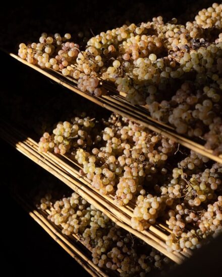 Il “re dei vini dolci” è il Vinsanto Riserva di Capezzana (ph: Facebook/Tenuta di Capezzana)