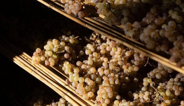 &ldquo;International Wine Challenge&rdquo; 2026, 2 &ldquo;Champions&rdquo; and 25 gold medals for Italy