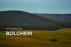I Quaderni di WineNews - Bolgheri