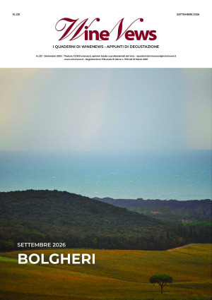 I Quaderni di WineNews - Bolgheri
