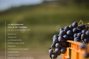 I Vini di WineNews - N. 431
