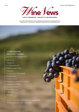 I Vini di WineNews - N. 431