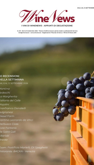 I Vini di WineNews