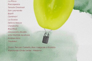 I Vini di WineNews - N. 432