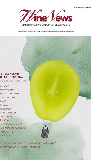 I Vini di WineNews