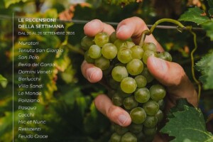 I Vini di WineNews - N. 433