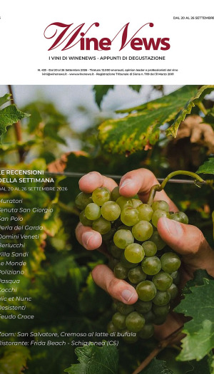 I Vini di WineNews