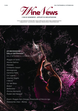 I Vini di WineNews - N. 434
