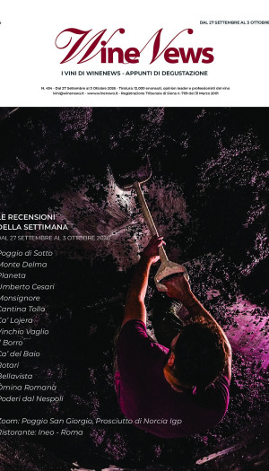 I Vini di WineNews
