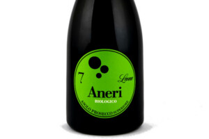 Aneri, Docg Asolo Prosecco Superiore Biologico N.7 Leone 2025