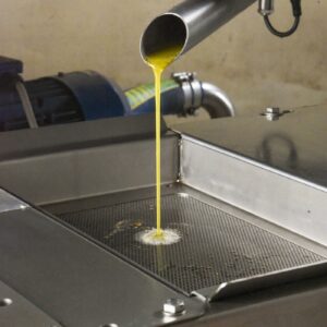 Torna la magia dell&rsquo;olio nuovo: bene Toscana e Liguria, meno olive in Puglia, proteste in Sicilia&nbsp;